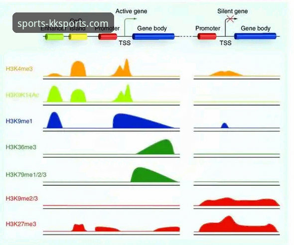 KK体育平台赔率深度解读与实战分析教程